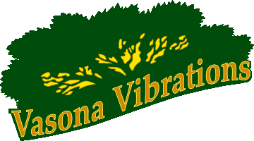Vasona Vibrations 2010