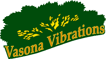 Vasona Vibrations 2014